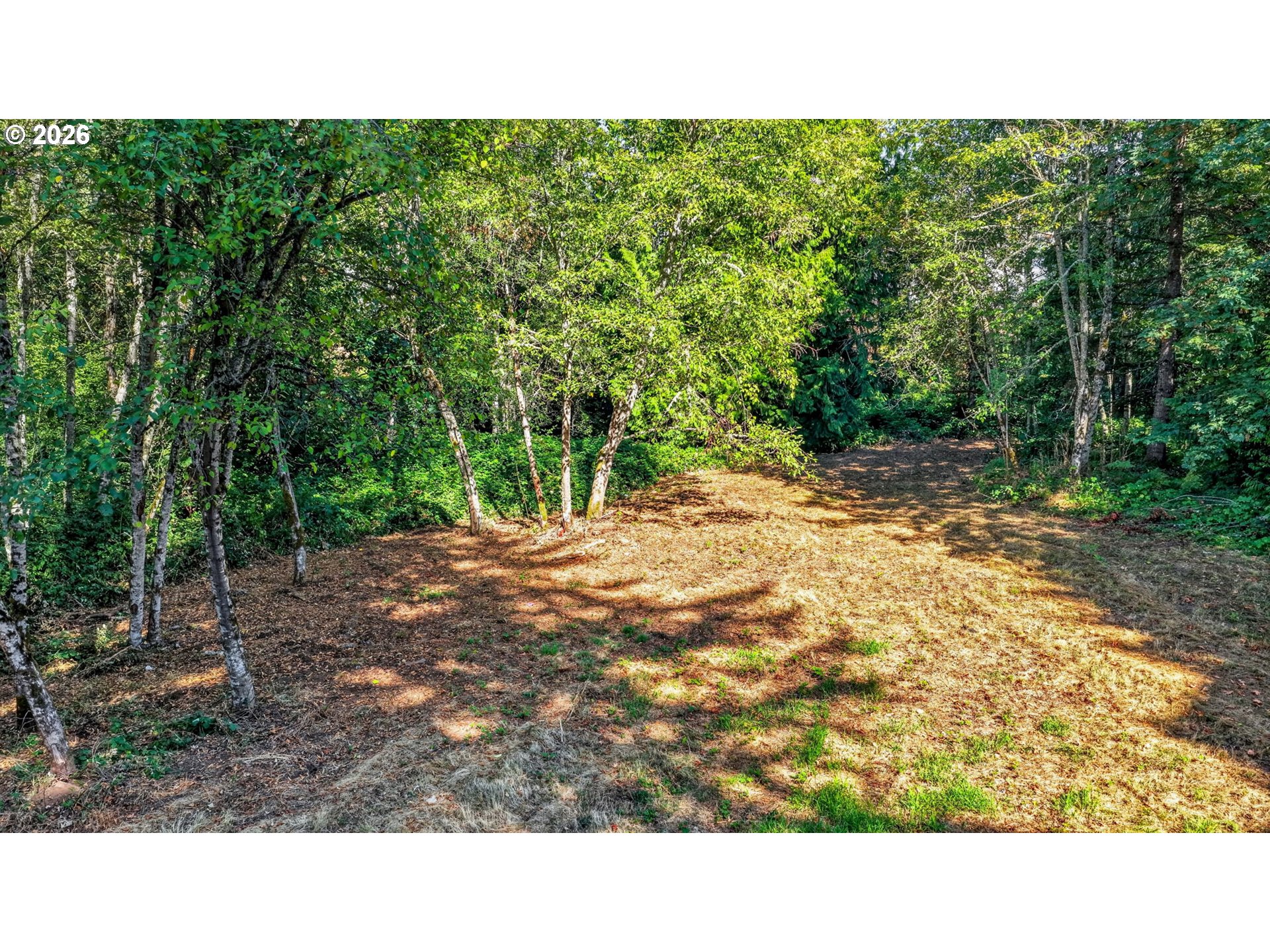 19424 Se Bornstedt Rd Property Photo 20