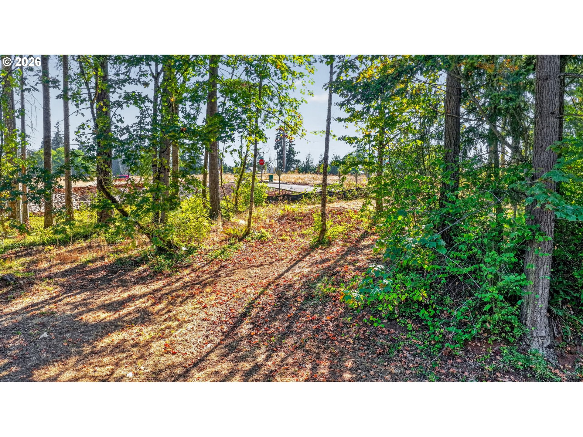 19424 Se Bornstedt Rd Property Photo 21