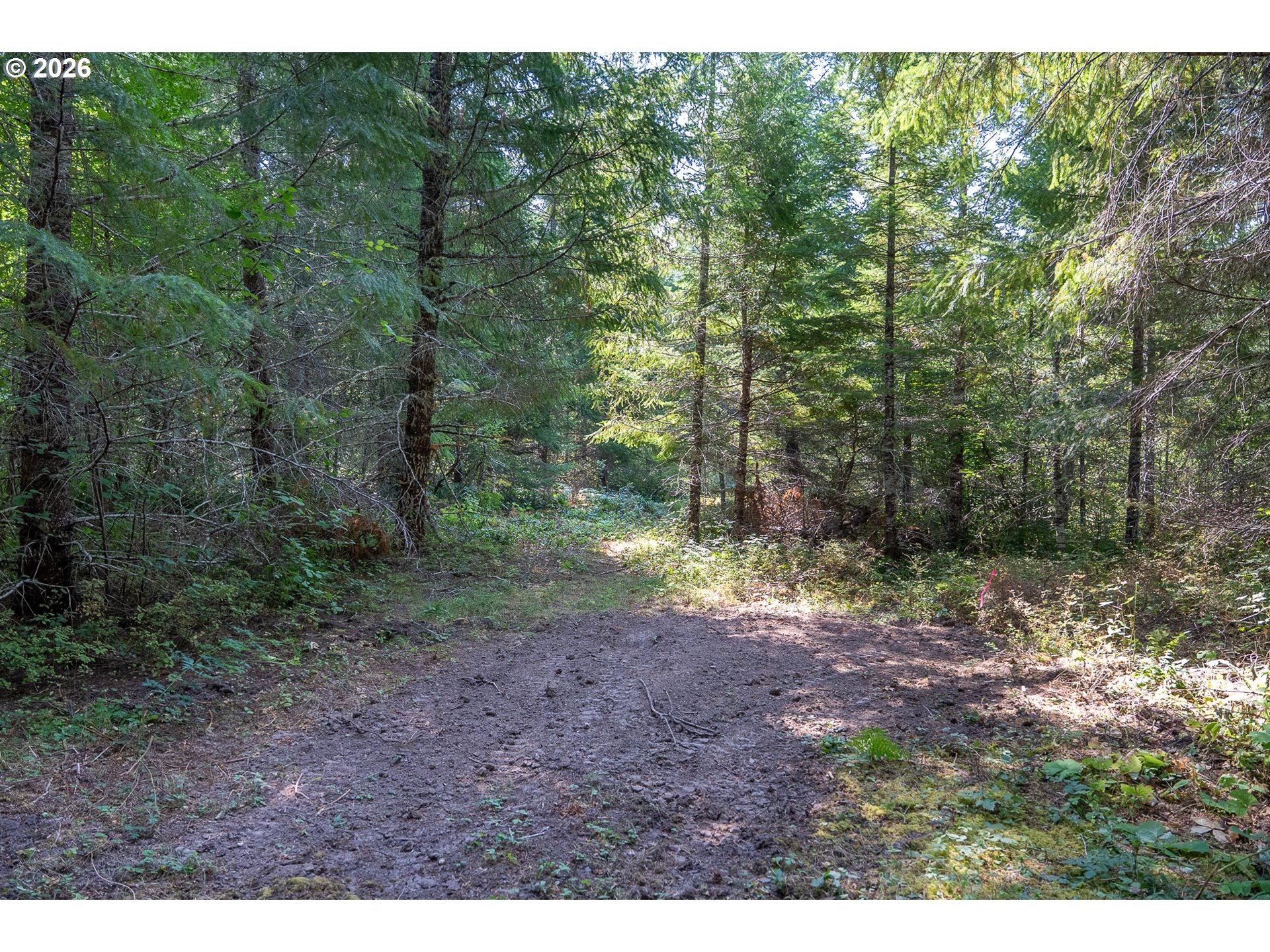 184 Hawk Meadows Rd Property Photo 7