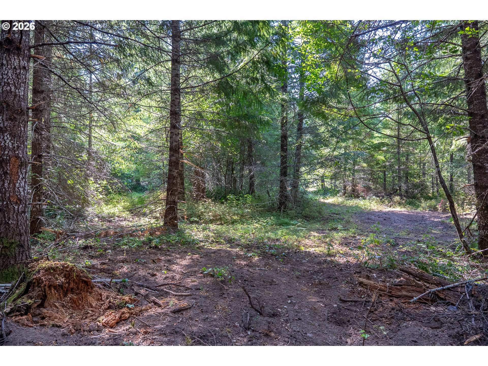 184 Hawk Meadows Rd Property Photo 14