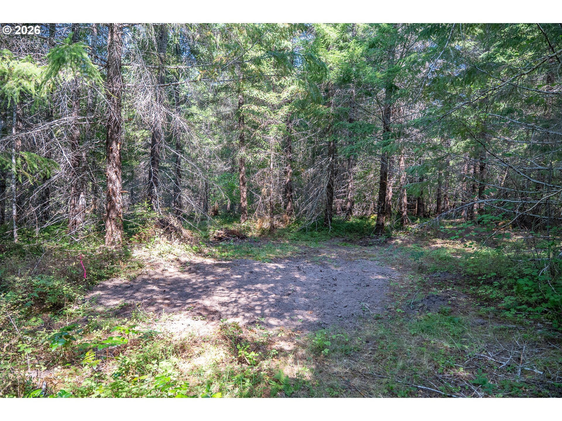 184 Hawk Meadows Rd Property Photo 17