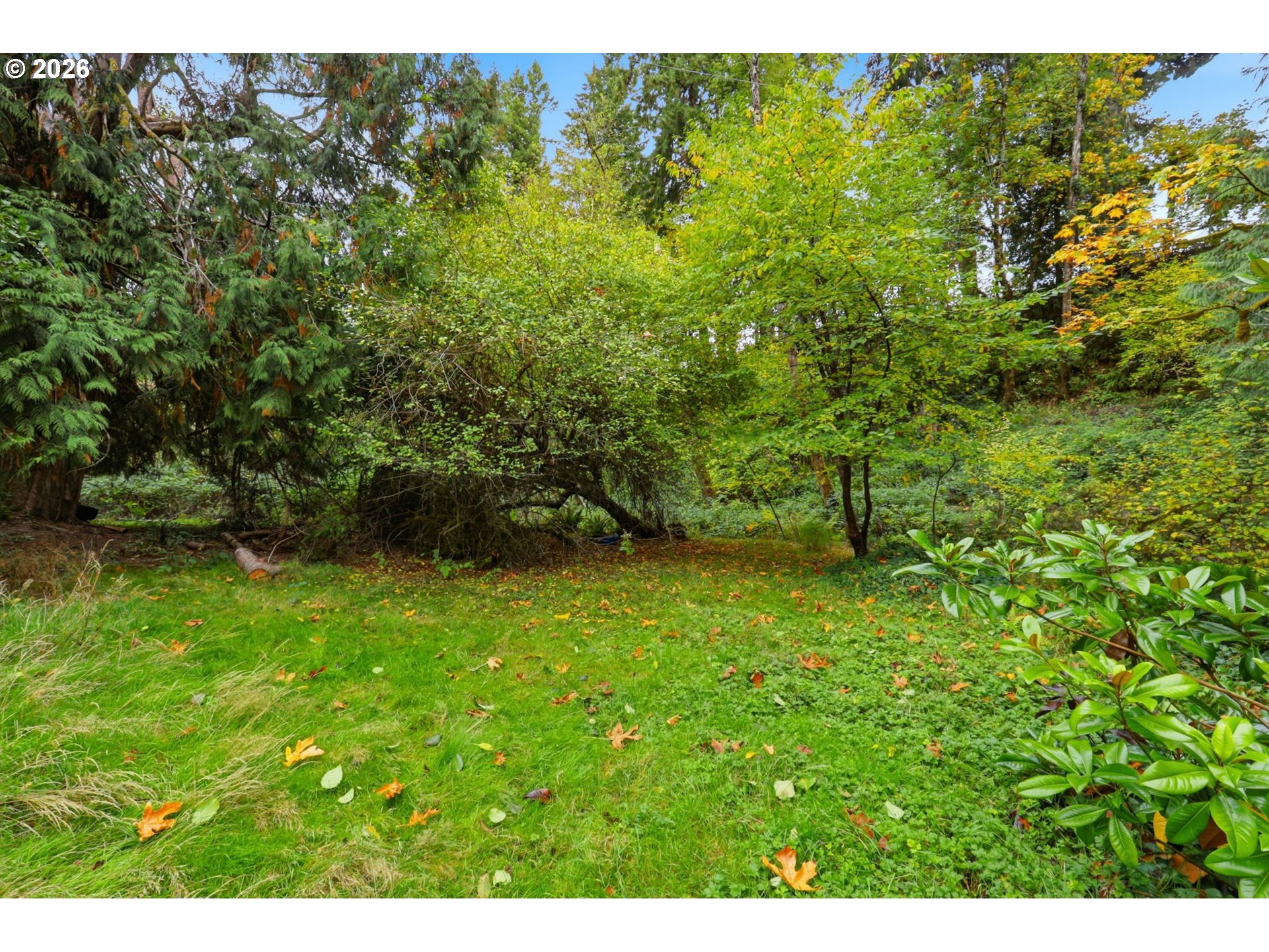 2147 Pioneer St Property Photo 12