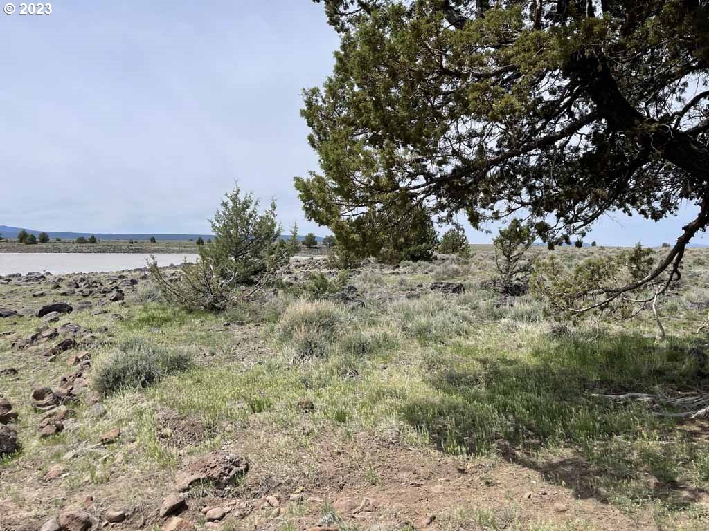 8500 Nf 379 Property Photo 2