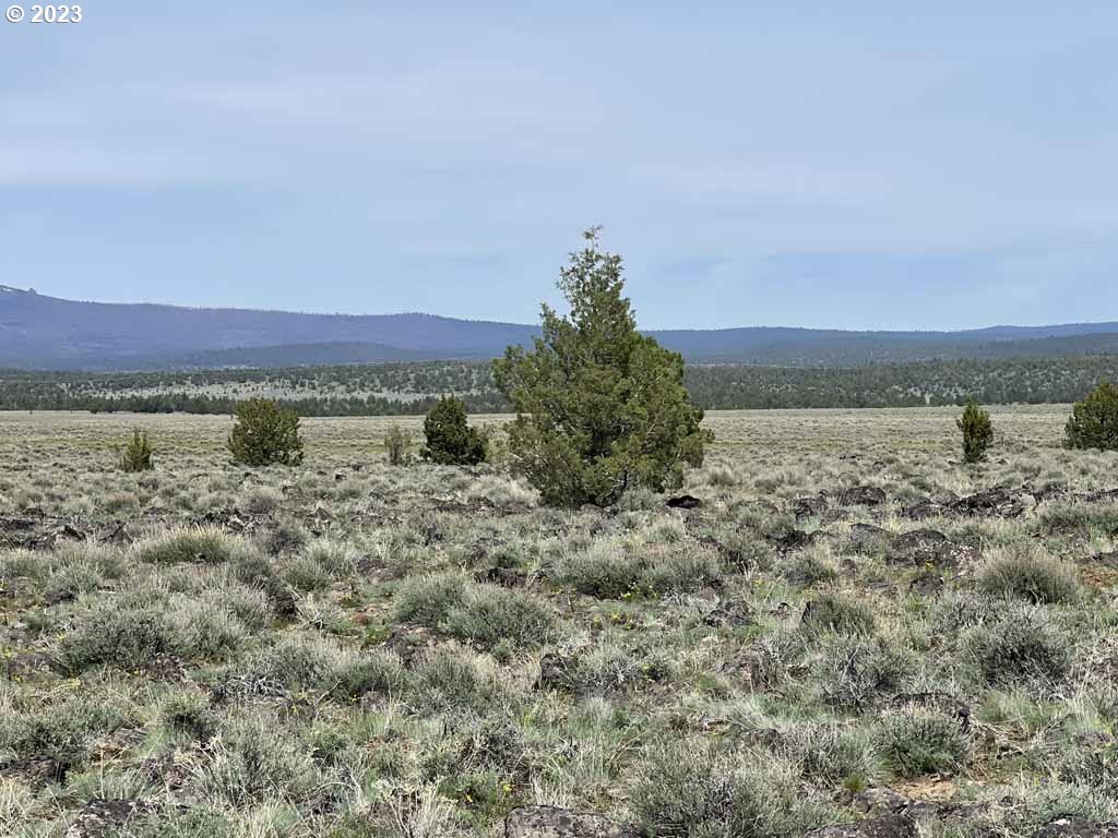 8500 Nf 379 Property Photo 33
