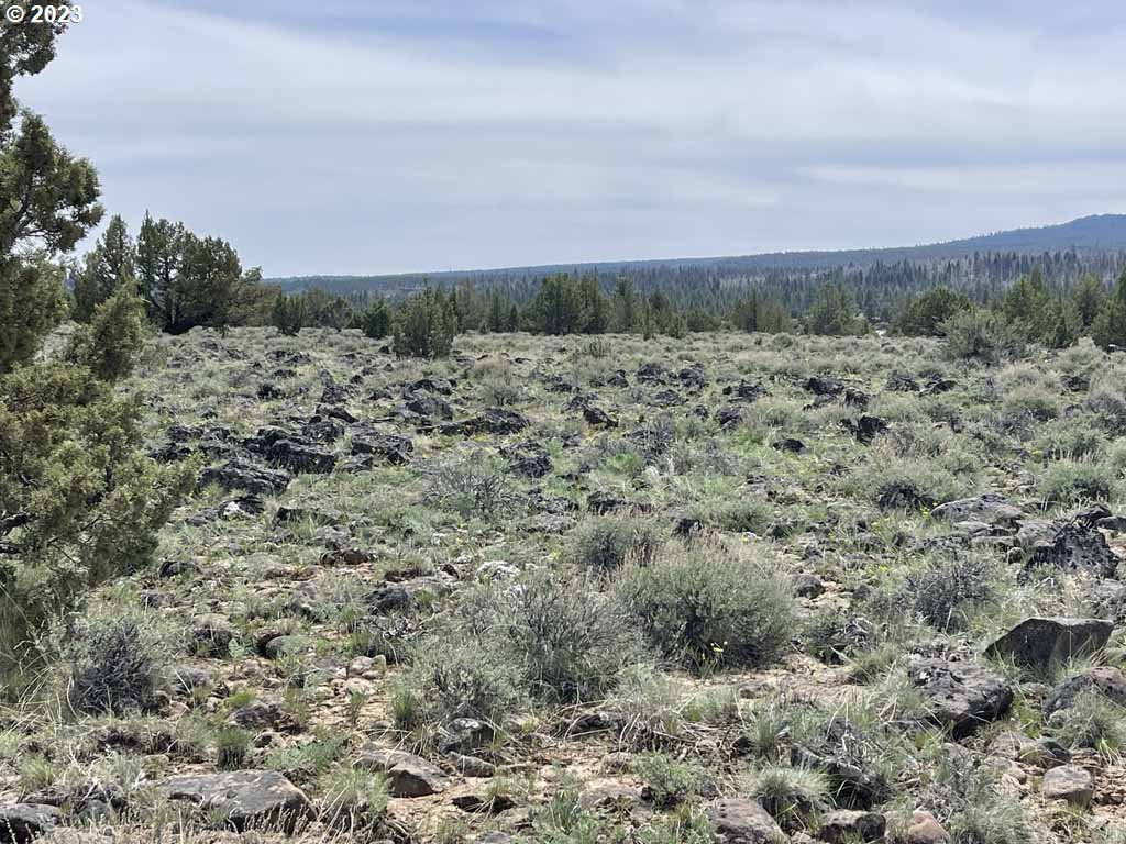 8500 Nf 379 Property Photo 34