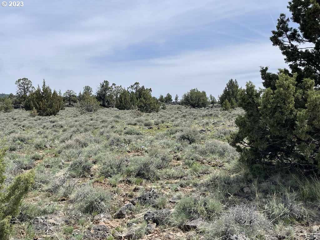 8500 Nf 379 Property Photo 35