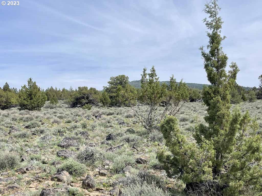8500 Nf 379 Property Photo 37
