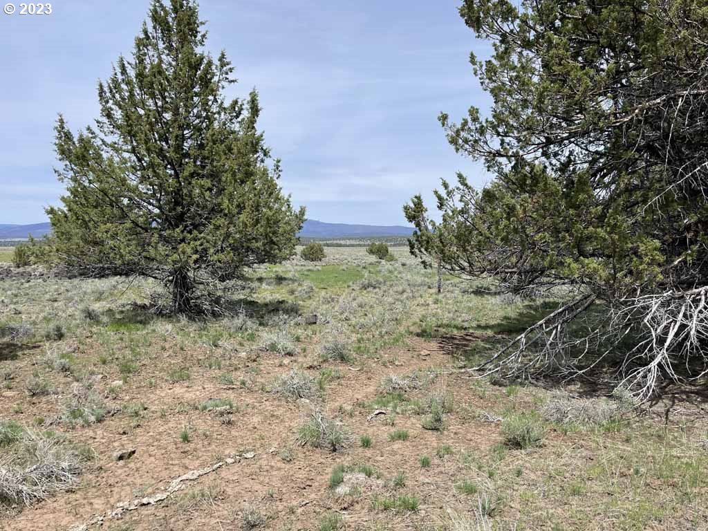 8500 Nf 379 Property Photo 38