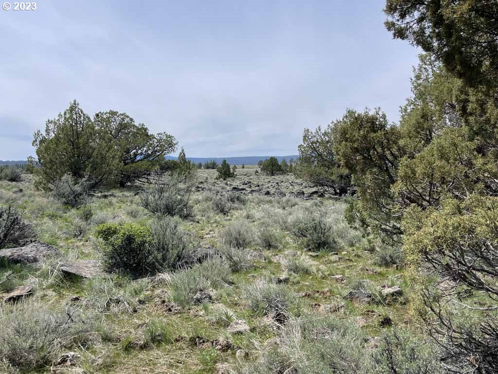 8500 Nf 379 Property Photo 45