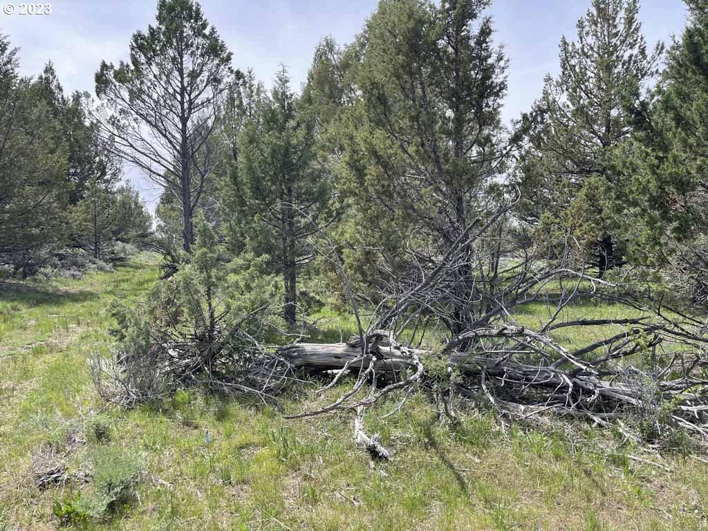 8500 Nf 379 Property Photo 47