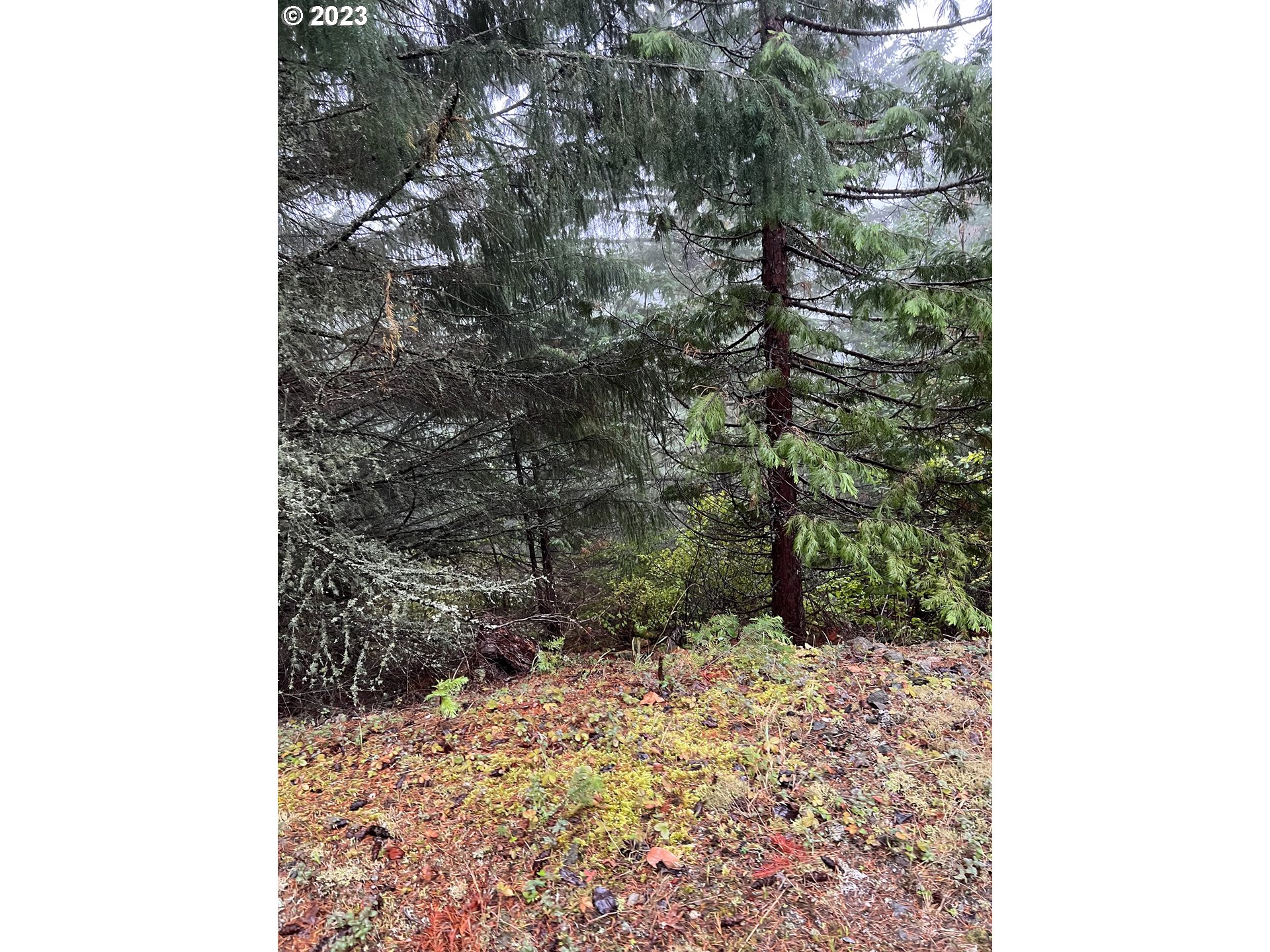 6232 Coyote Creek Rd Property Photo 11