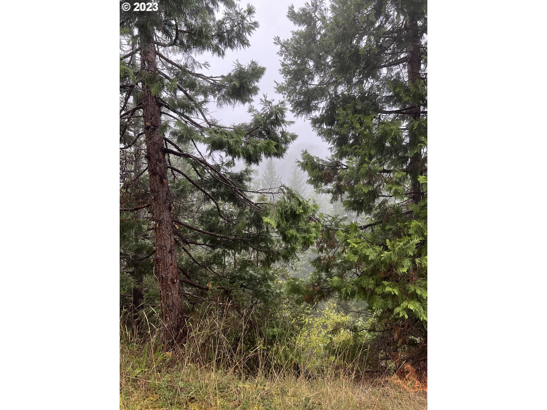 6232 Coyote Creek Rd Property Photo 12