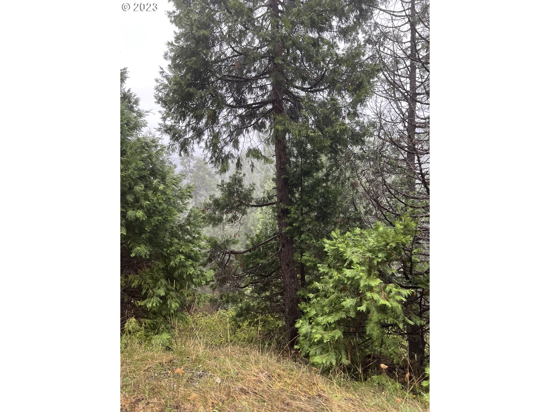 6232 Coyote Creek Rd Property Photo 13