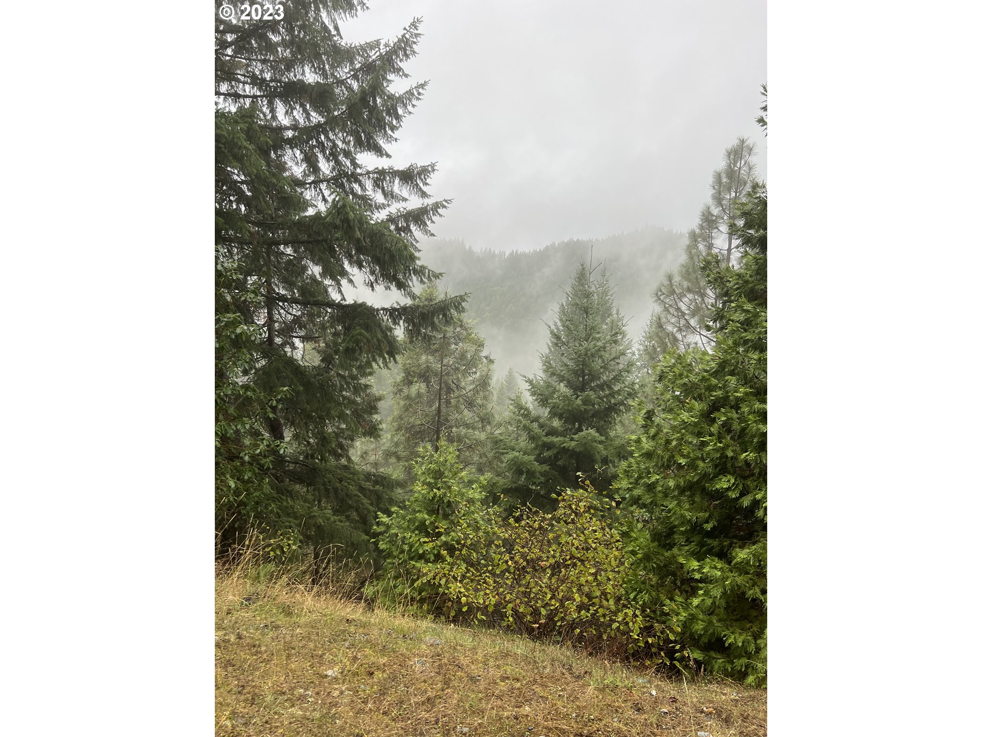 6232 Coyote Creek Rd Property Photo 15