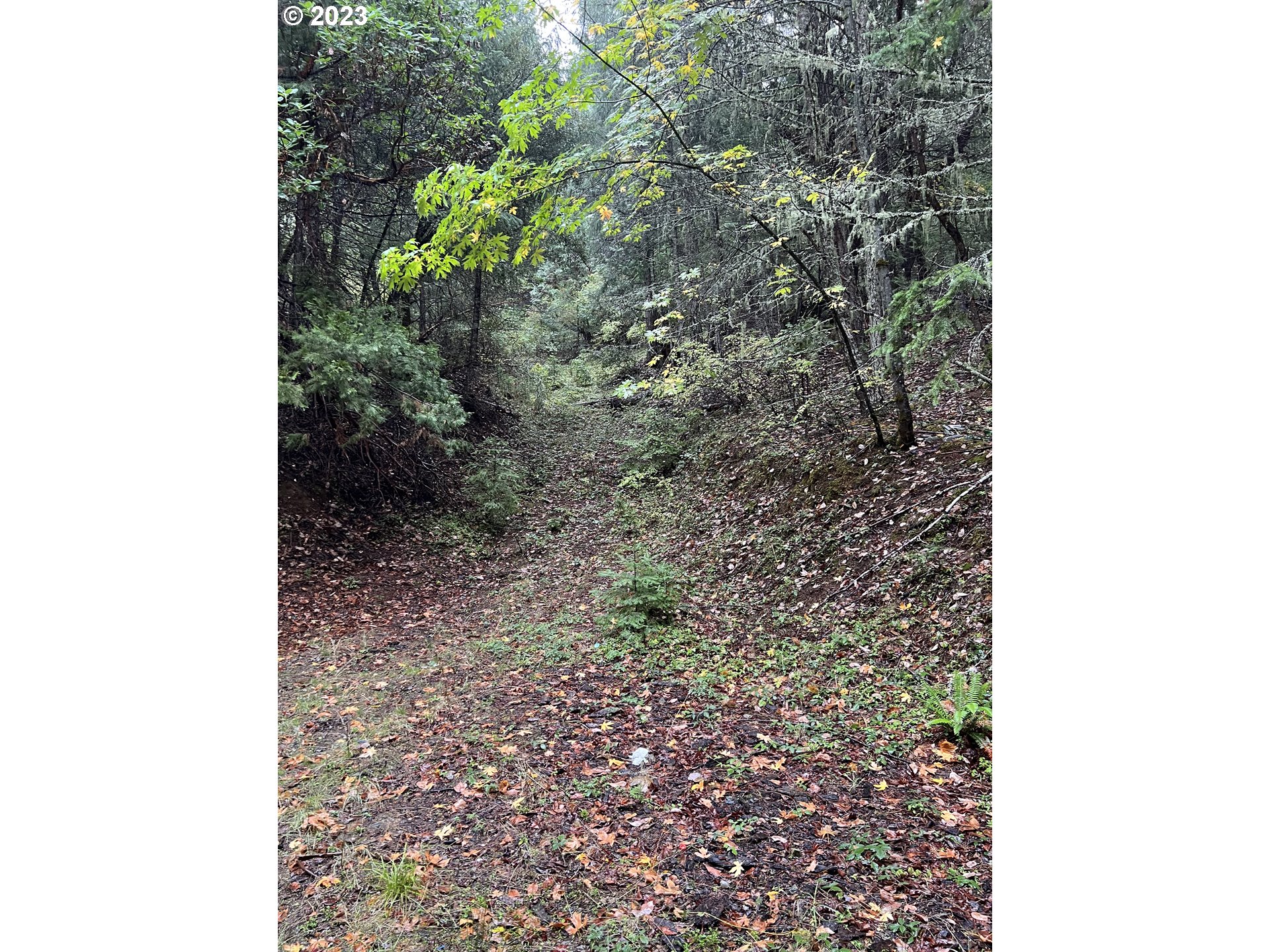 6232 Coyote Creek Rd Property Photo 16