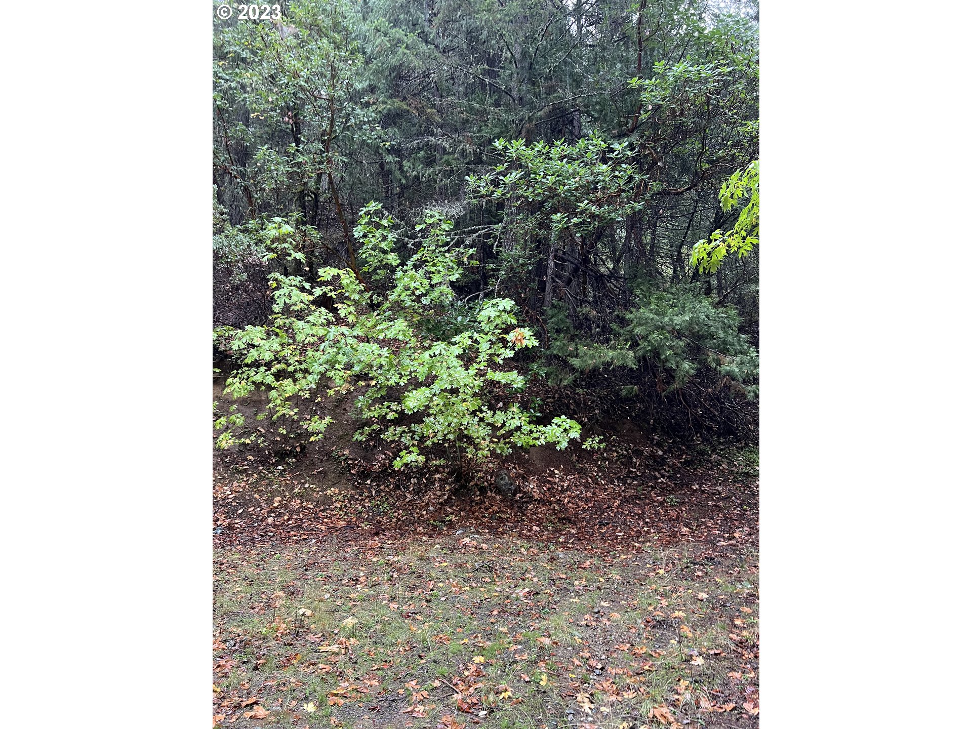 6232 Coyote Creek Rd Property Photo 17