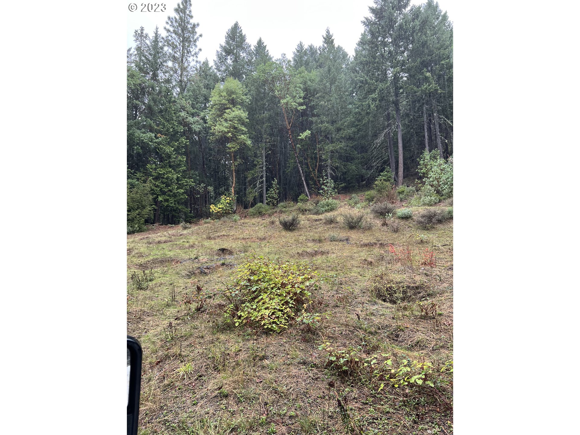 6232 Coyote Creek Rd Property Photo 19