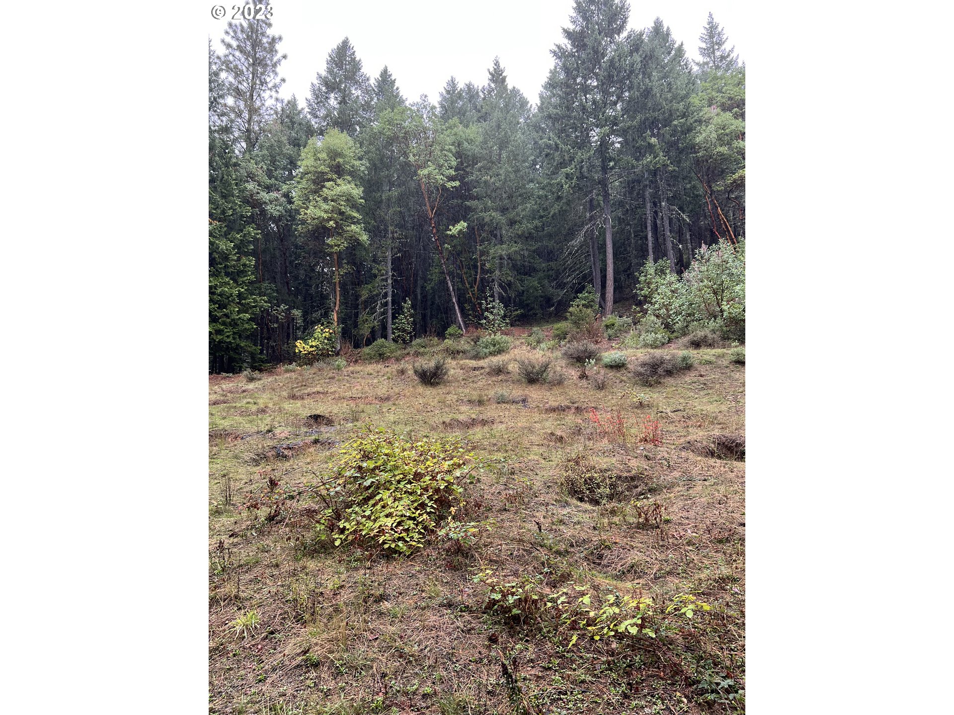 6232 Coyote Creek Rd Property Photo 20