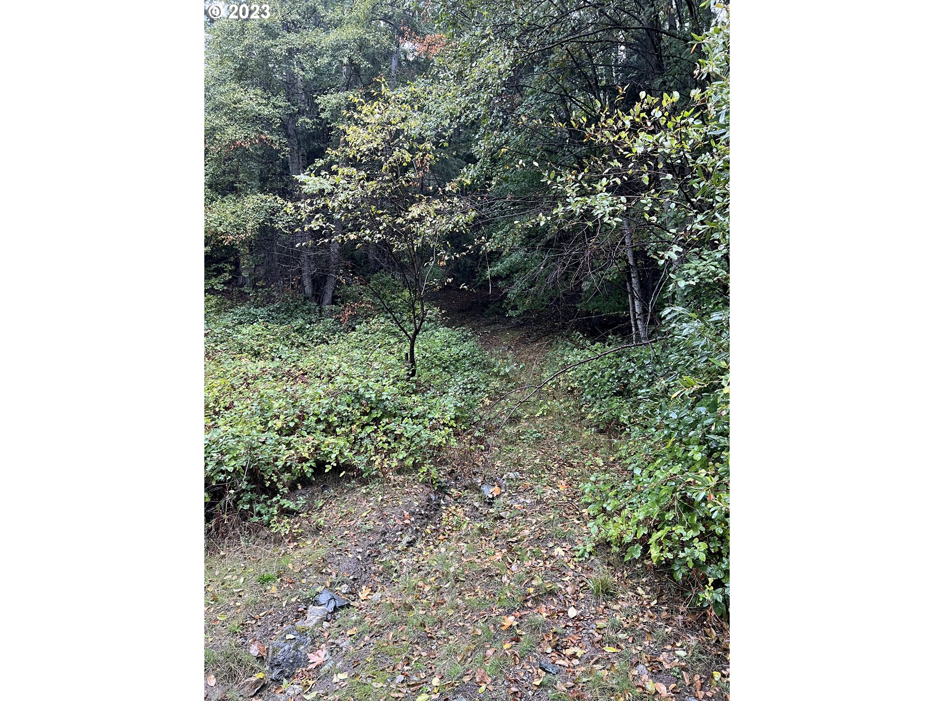 6232 Coyote Creek Rd Property Photo 22