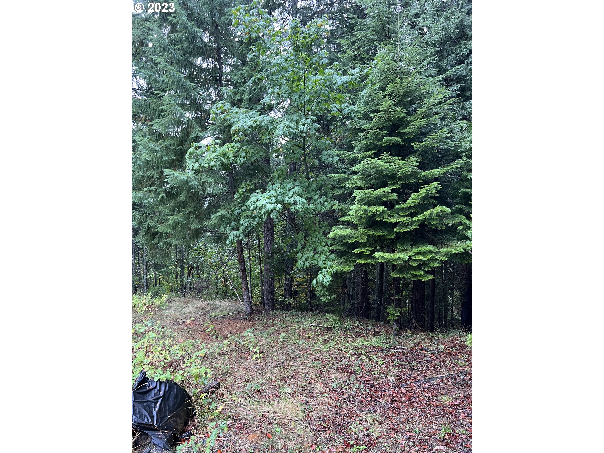 6232 Coyote Creek Rd Property Photo 23