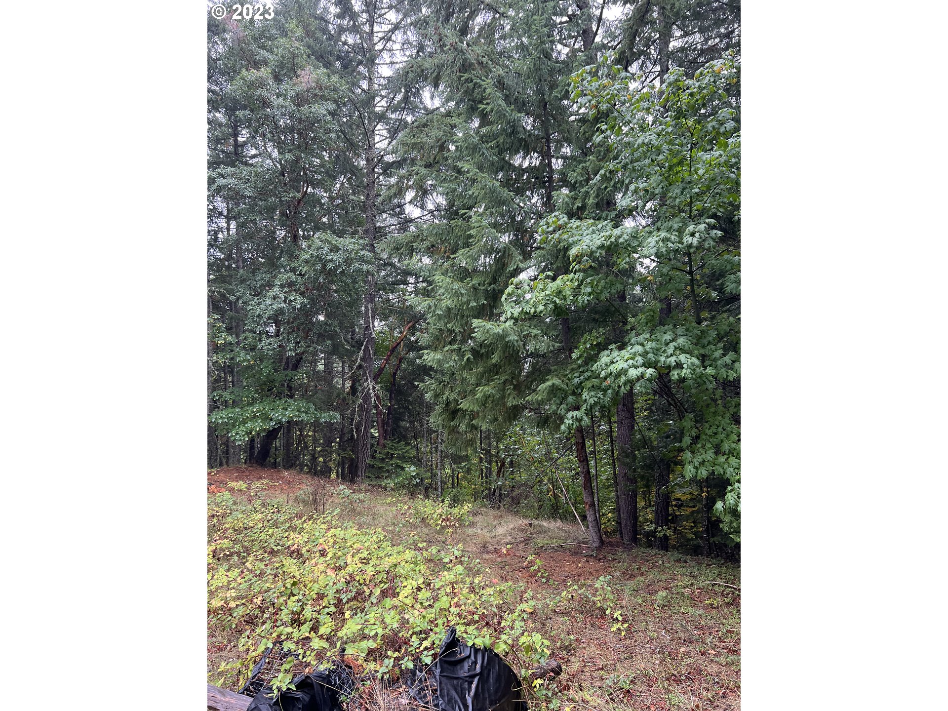 6232 Coyote Creek Rd Property Photo 24