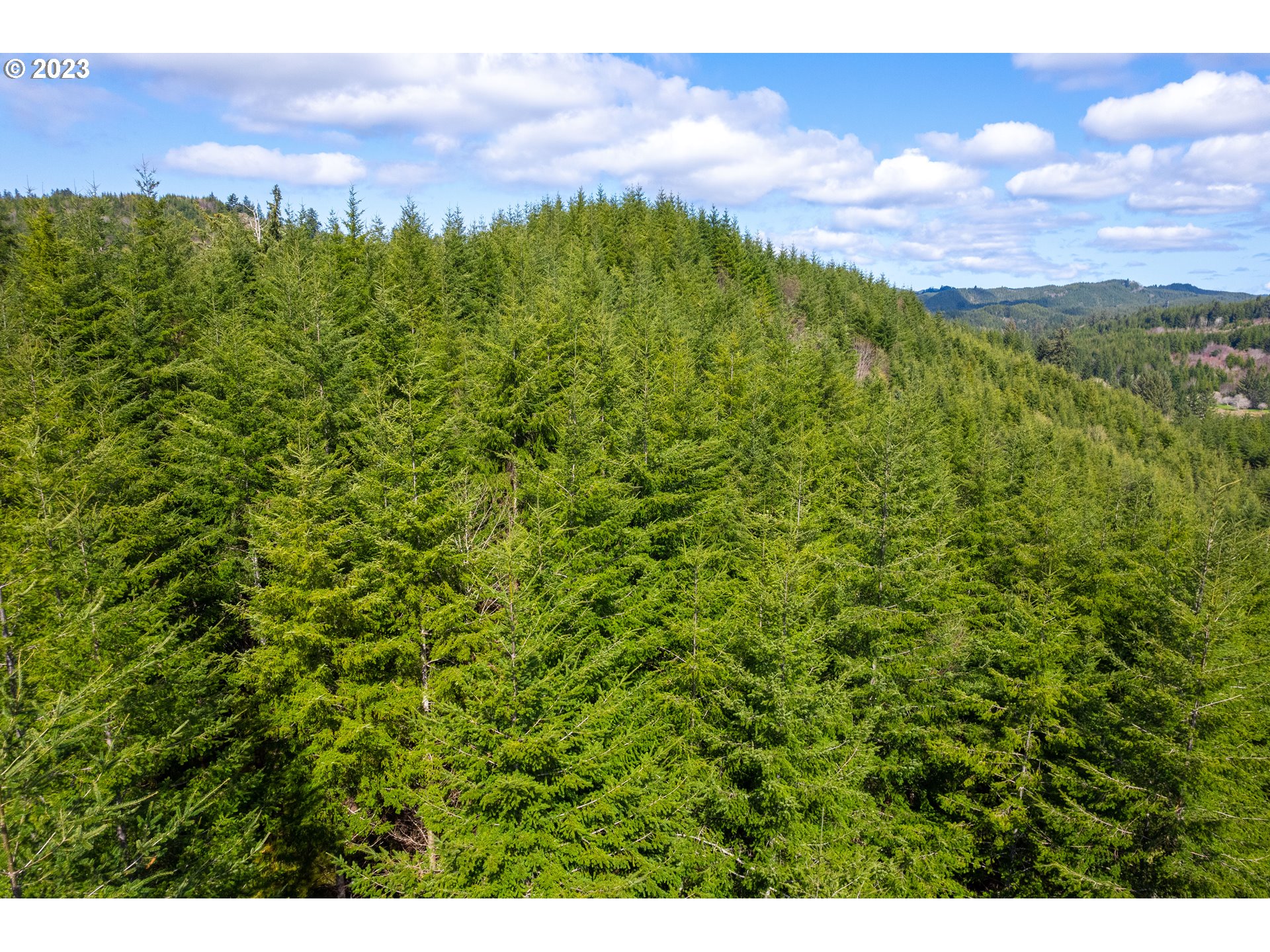 0 Siletz Hwy Property Photo 2