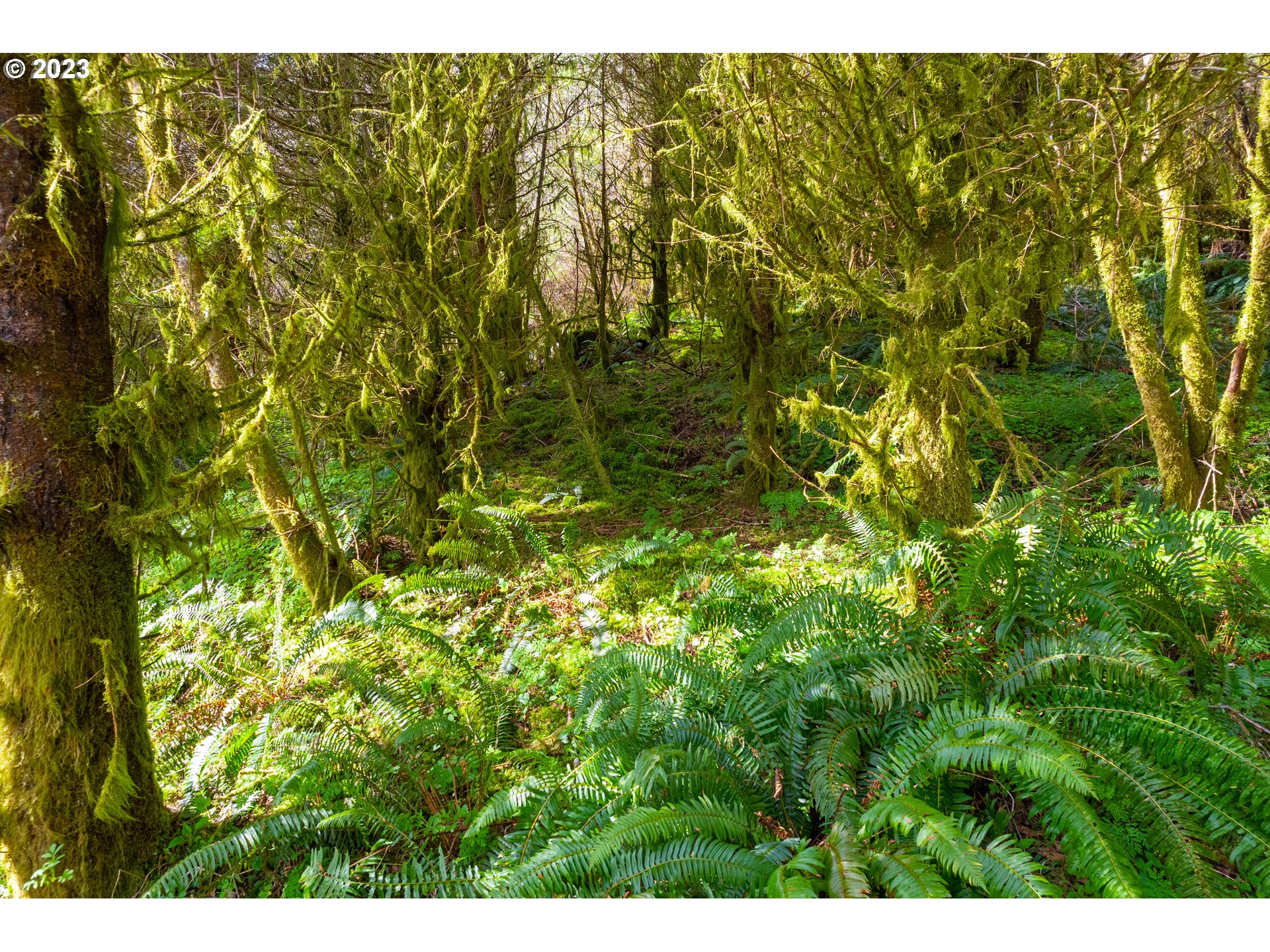0 Siletz Hwy Property Photo 6