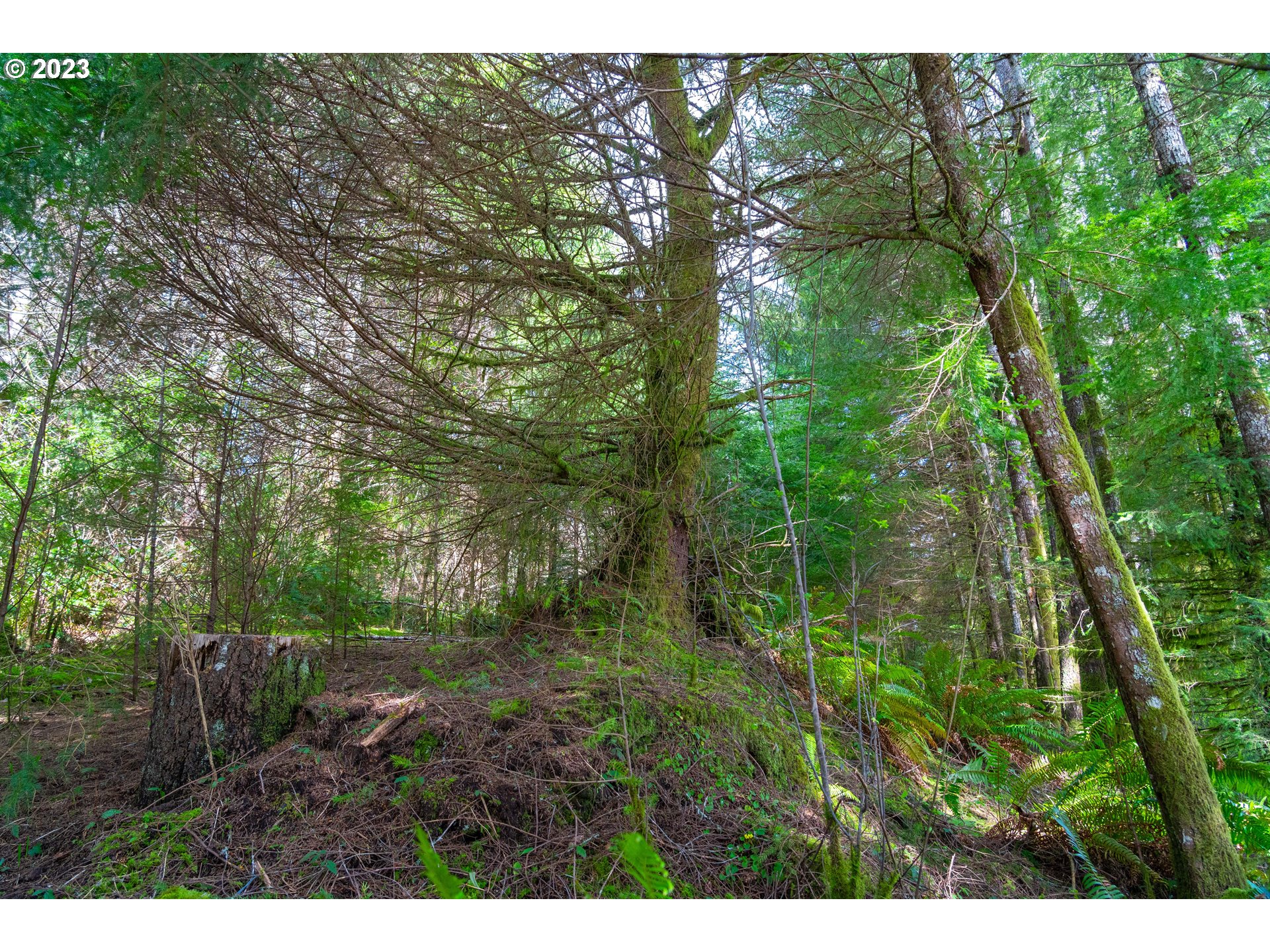 0 Siletz Hwy Property Photo 7
