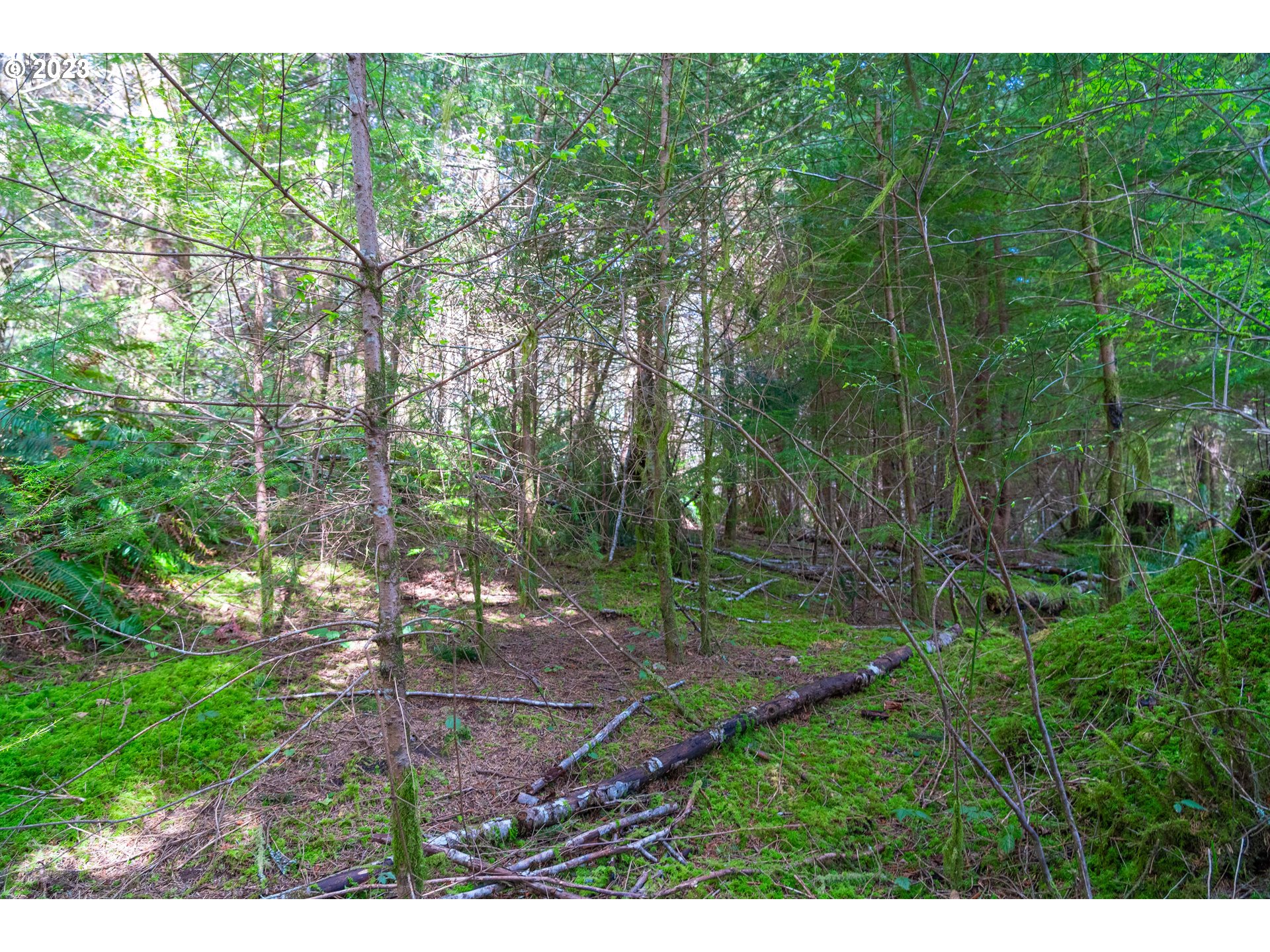 0 Siletz Hwy Property Photo 8