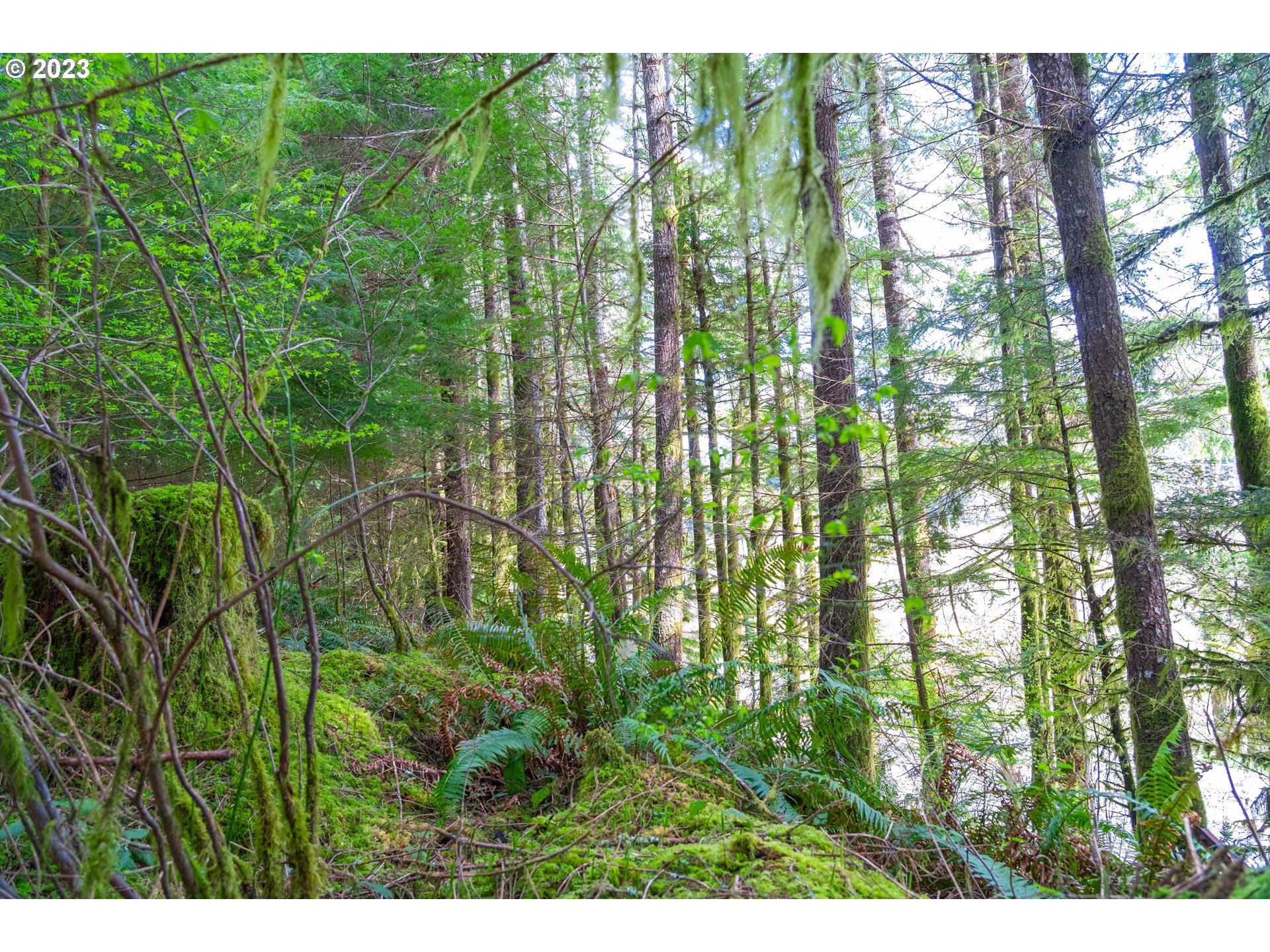0 Siletz Hwy Property Photo 9