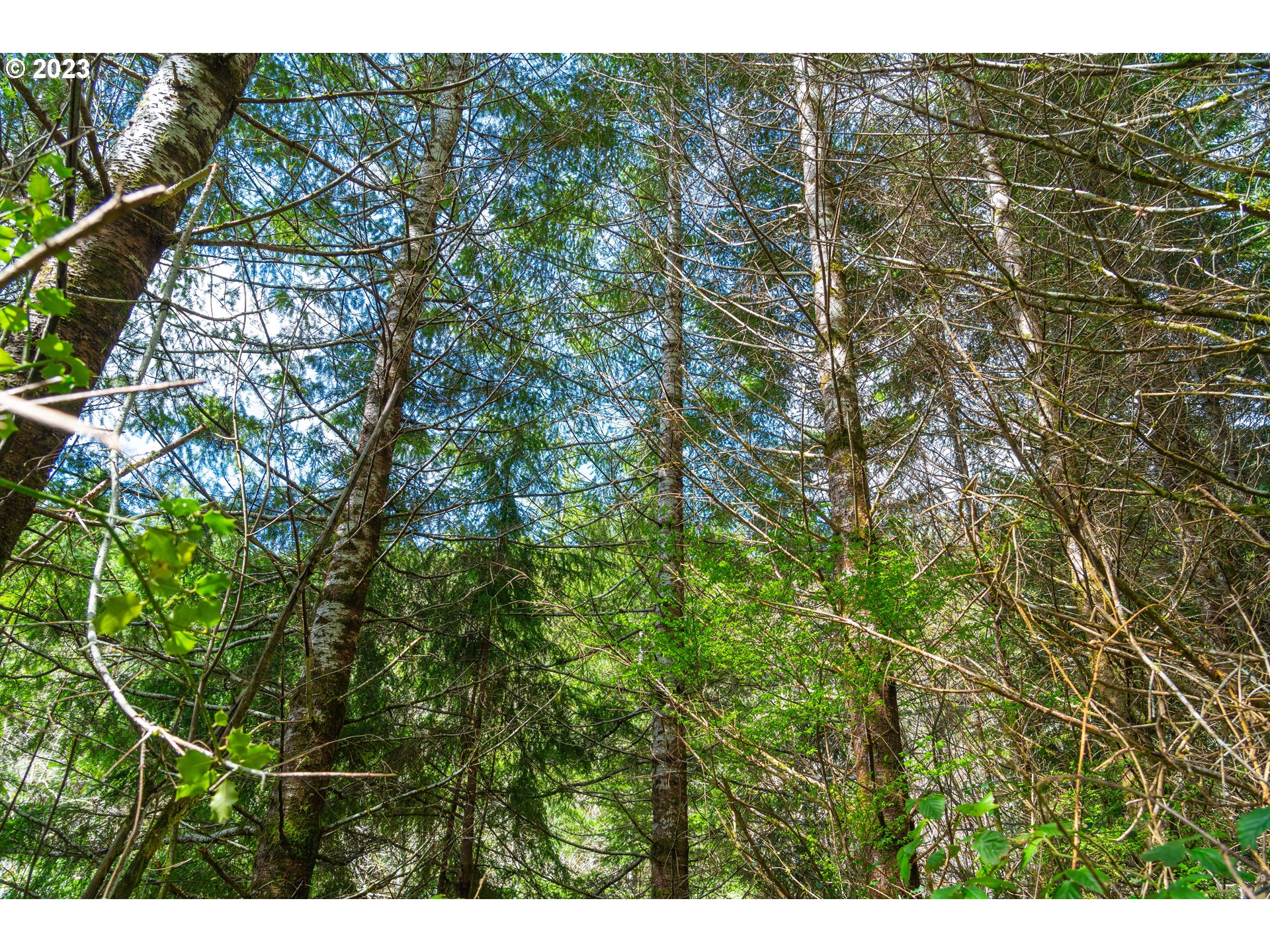 0 Siletz Hwy Property Photo 10