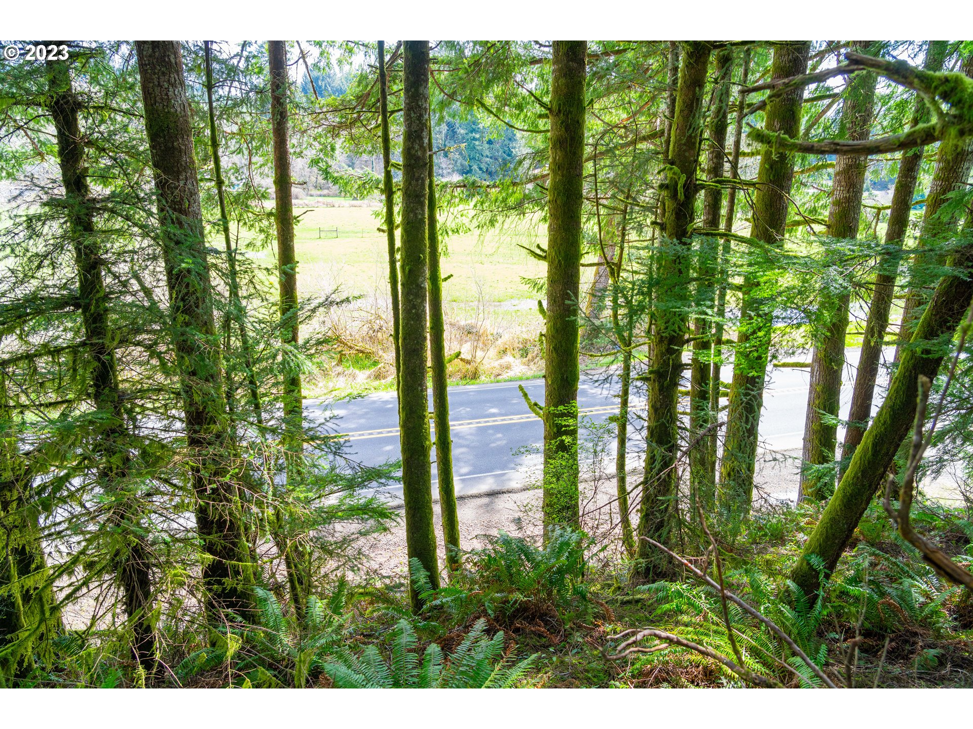0 Siletz Hwy Property Photo 12