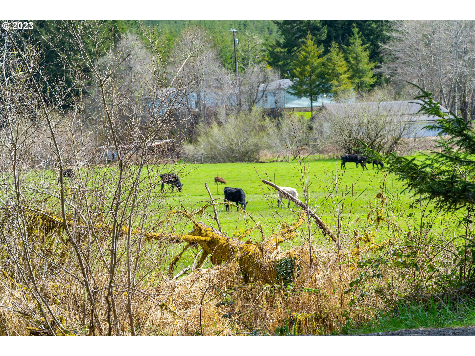 0 Siletz Hwy Property Photo 13