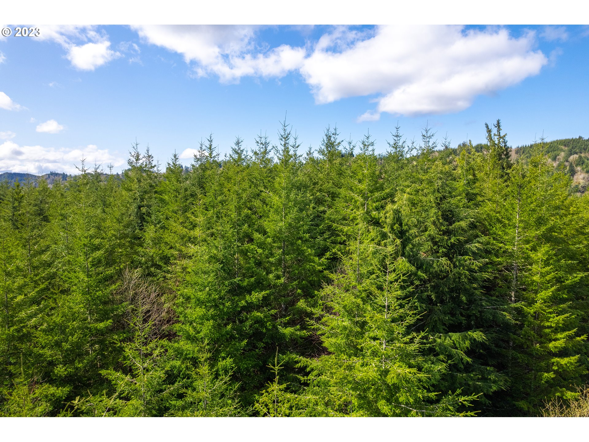 0 Siletz Hwy Property Photo 15