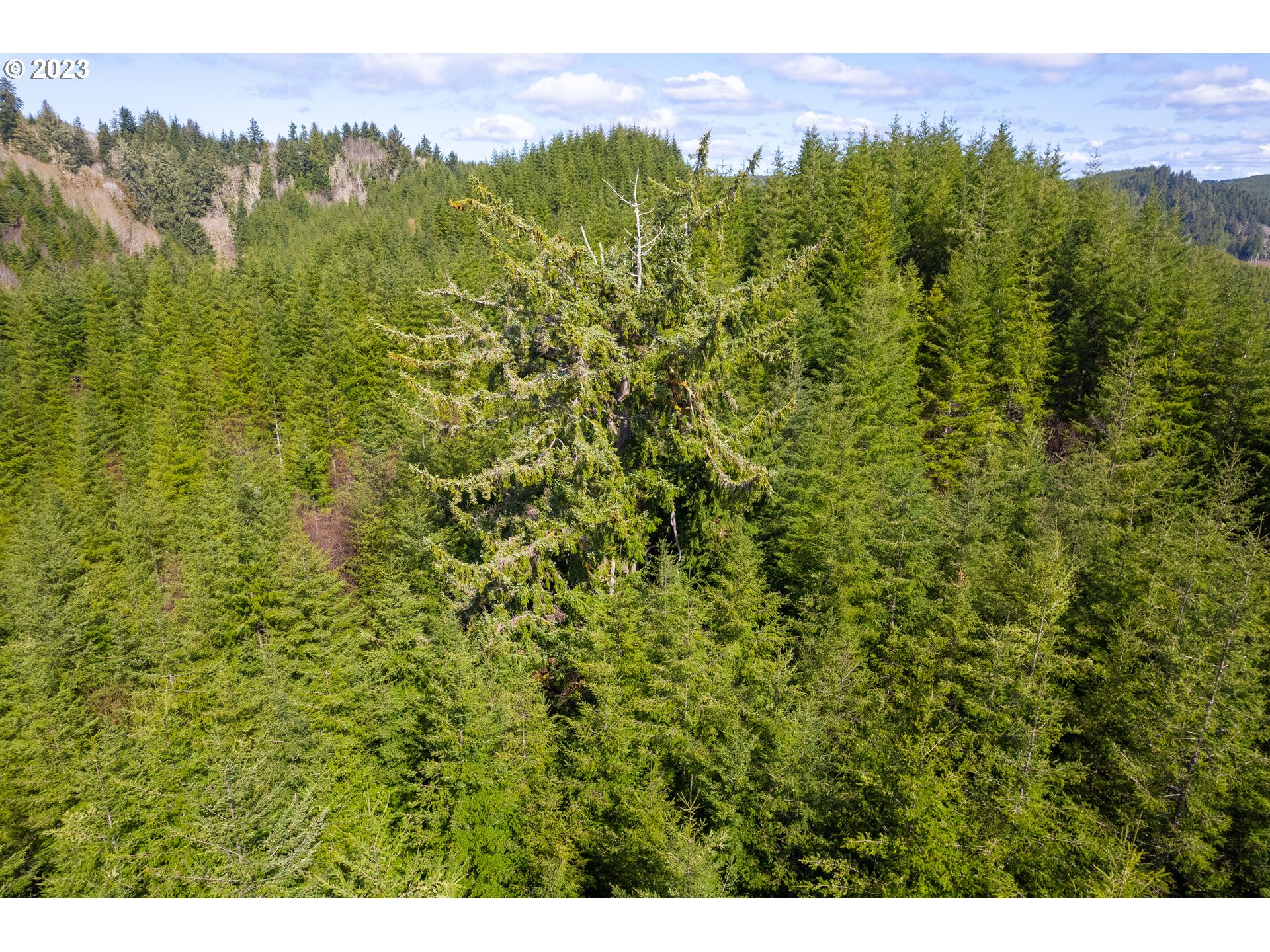 0 Siletz Hwy Property Photo 17