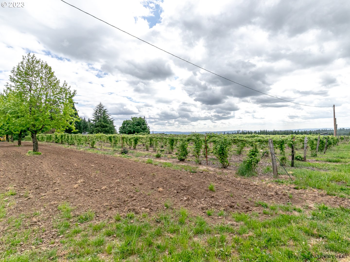35170 Se Highway 211 Property Photo 4