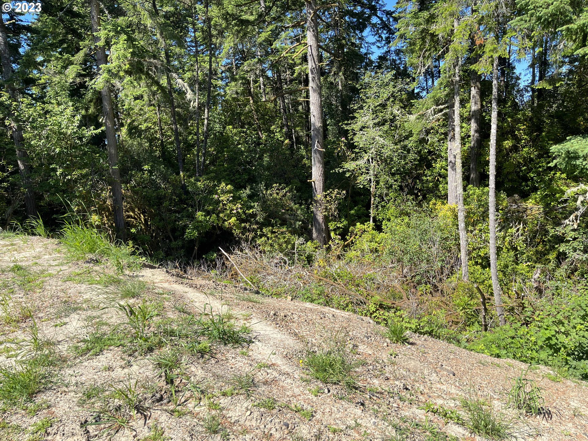 Munsel Lake Rd Property Photo 5