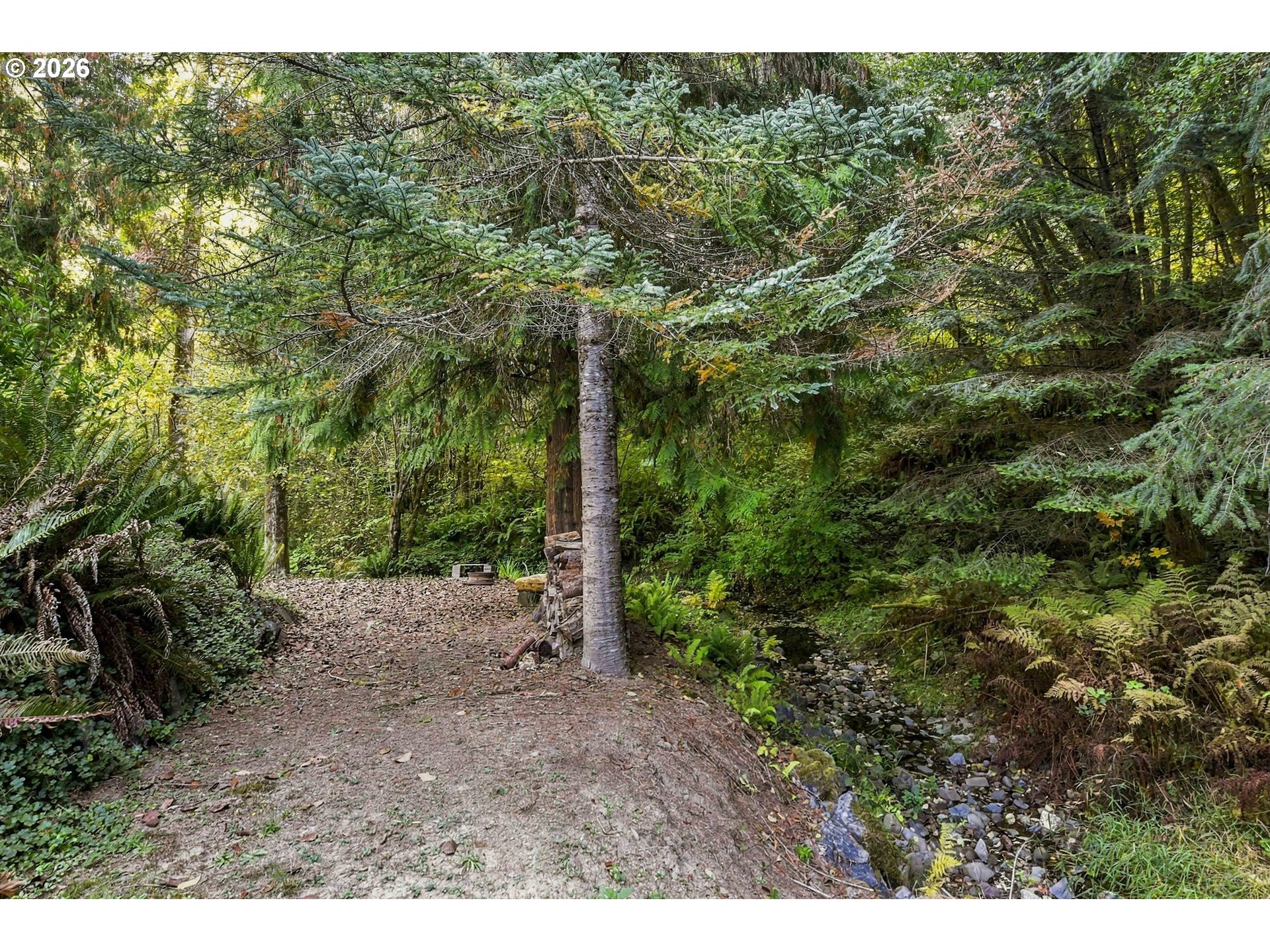 51256 Salmon Gulch Rd Property Photo 28