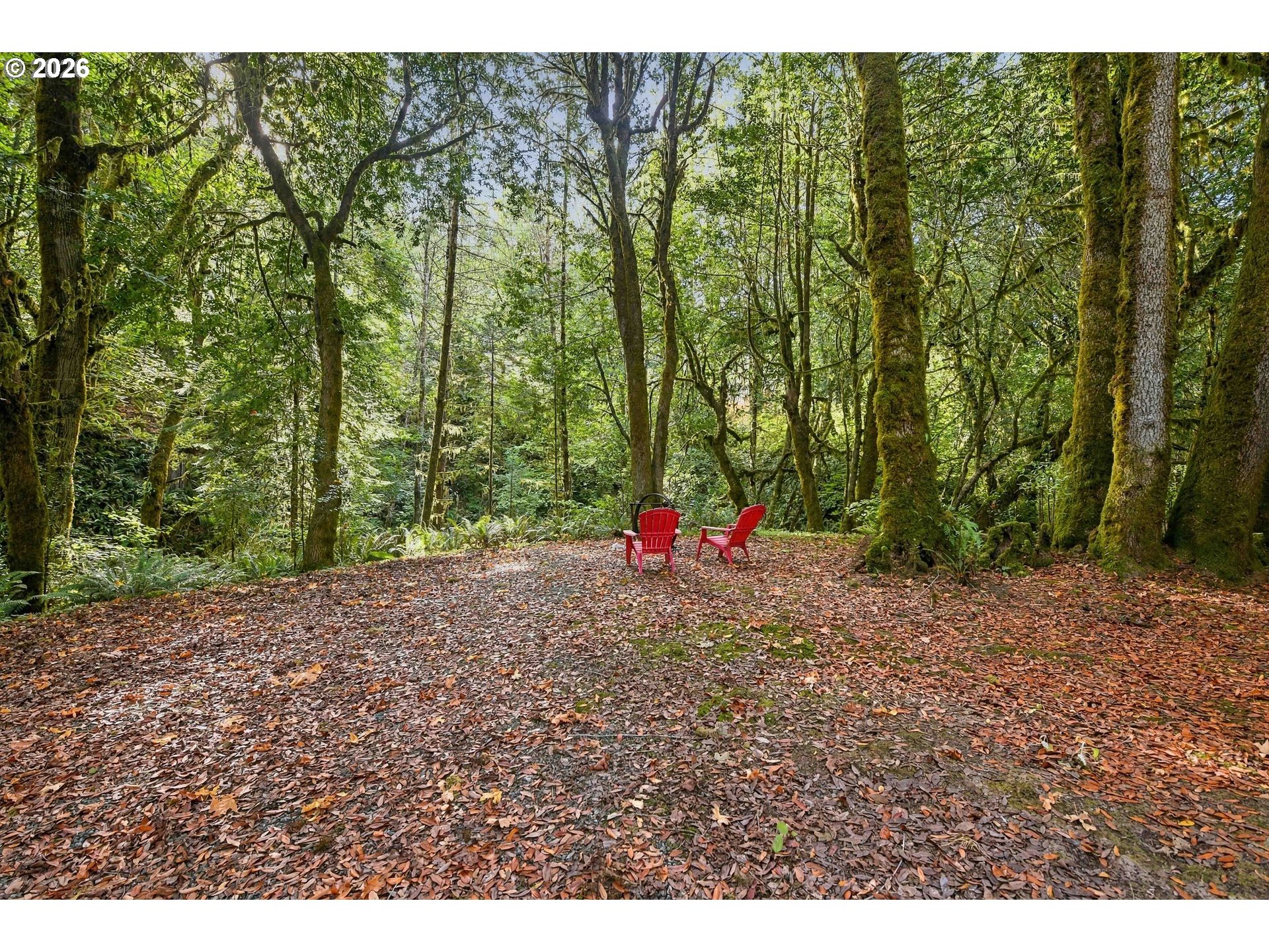 51256 Salmon Gulch Rd Property Photo 42