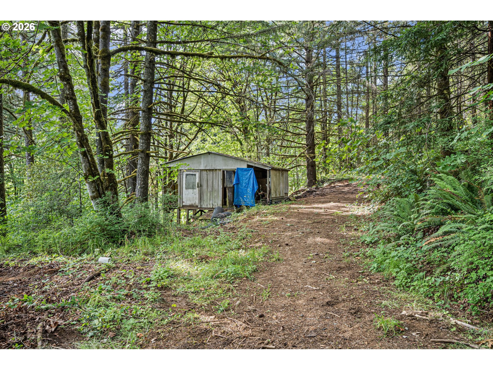 22385 Noti Loop Property Photo 39