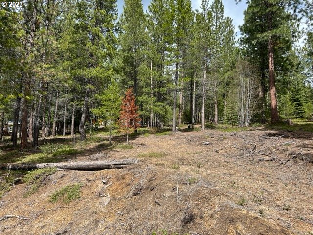 43 Clear Spring Way Property Photo 1