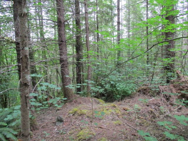 00 Gruber North Rd Property Photo 2