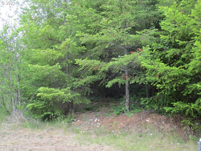 00 Gruber North Rd Property Photo 4