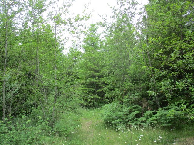 00 Gruber North Rd Property Photo 6