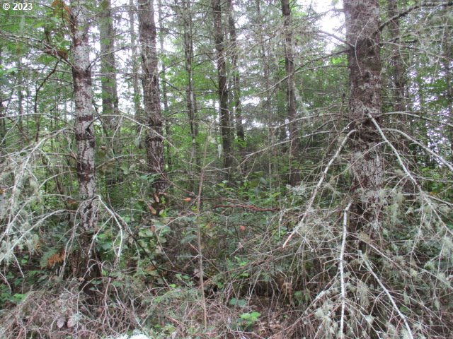 00 Gruber North Rd Property Photo 8