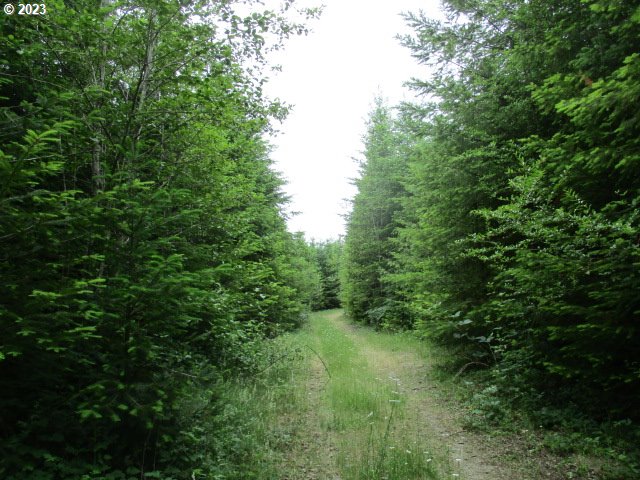 00 Gruber North Rd Property Photo 12