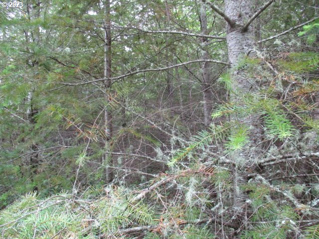 00 Gruber North Rd Property Photo 14