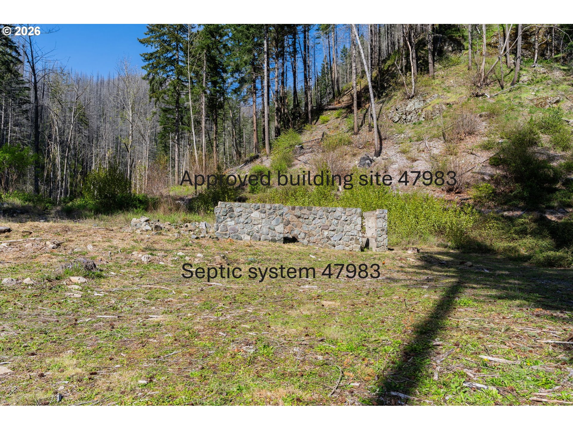 47983 Mckenzie Hwy Property Photo 1