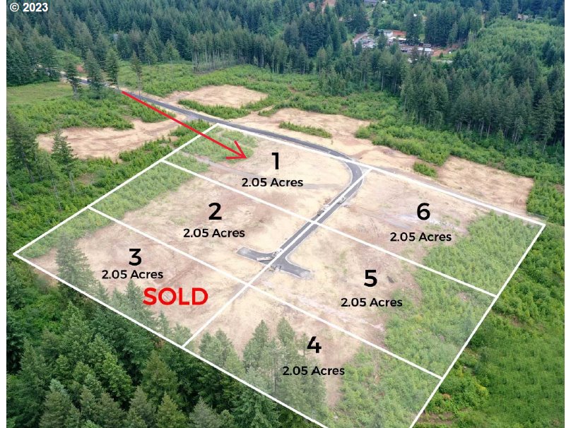 NE 43rd CIR Lot 1 Property Photo 1