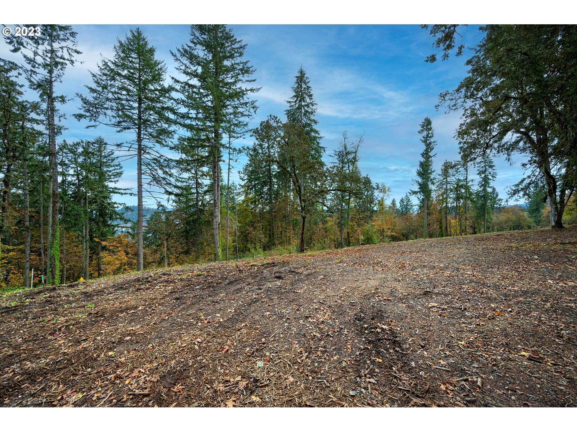 2620 Cupola Dr 27 Property Photo 8